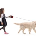 なぜ犬は『散歩好き…