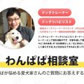 本気で噛む柴犬…どう…