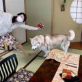 旅行先での奥様とハ…