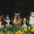 初心者向けではない…
