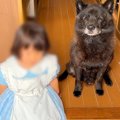 1歳の女の子が『犬と…