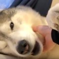 寝ながらお手はお断…