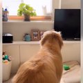 犬が『不審な影』を…