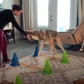 ネグレクトから救出…