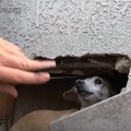 捨てられて３年間も…