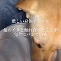 「浮気…してきたわね…