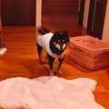 家に帰ってもあまり…