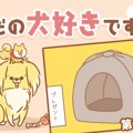 ただの犬好きです。…