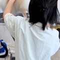 トリミングサロンの…