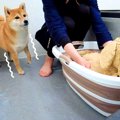 お風呂嫌いな犬の前…