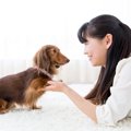 絶対ダメ！室内犬を…