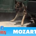 通行人にもビクビク……