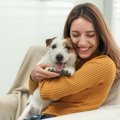 犬を『可愛い』と感…