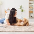 犬が『飼い主の髪を…