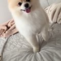 ママに起きて欲しい…