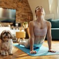 犬が『伸び』をする…
