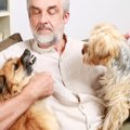 犬が人や物を『独り…