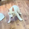 脳性麻痺で『余命１…