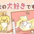 ただの犬好きです。…