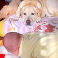 赤ちゃんが寝返りで…