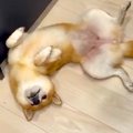 料理中、邪魔な場所…