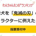 【投票受付中】柴犬…
