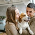 離婚したら愛犬はど…