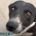 【ネパール】妊娠中…