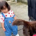 小さな女の子を連れ…