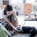 犬が『触ってほしい…