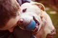 犬が飼い主と一緒に…の画像