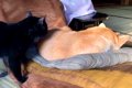 座椅子でお昼寝して…の画像