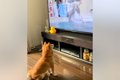 朝、テレビに映った…の画像