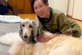 おばあちゃんの家に…の画像