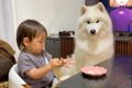赤ちゃんが『うどん…の画像