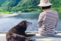 犬が『シニア期』に…の画像