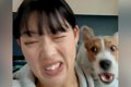 『ワンッ！！』犬の…の画像