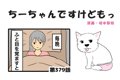 ちーちゃんですけど…の画像