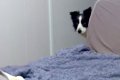風邪で寝込んでいた…の画像