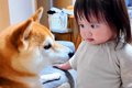 部屋をお片付けする1…の画像