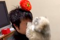 お父さんがふざけて…の画像