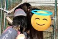 ドッグランに『他の…の画像