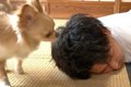 『死んだフリをして…の画像