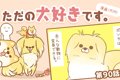 ただの犬好きです。…の画像