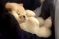 ママの腕にすっぽり…の画像