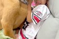 小さな女の子のこと…の画像