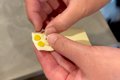 『犬に確実に薬を飲…の画像