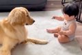 やんちゃな性格の大…の画像