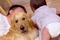 パパと大型犬が一緒…の画像