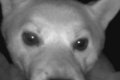 ふと監視カメラを確…の画像